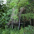 大坪頂吊橋（東山）