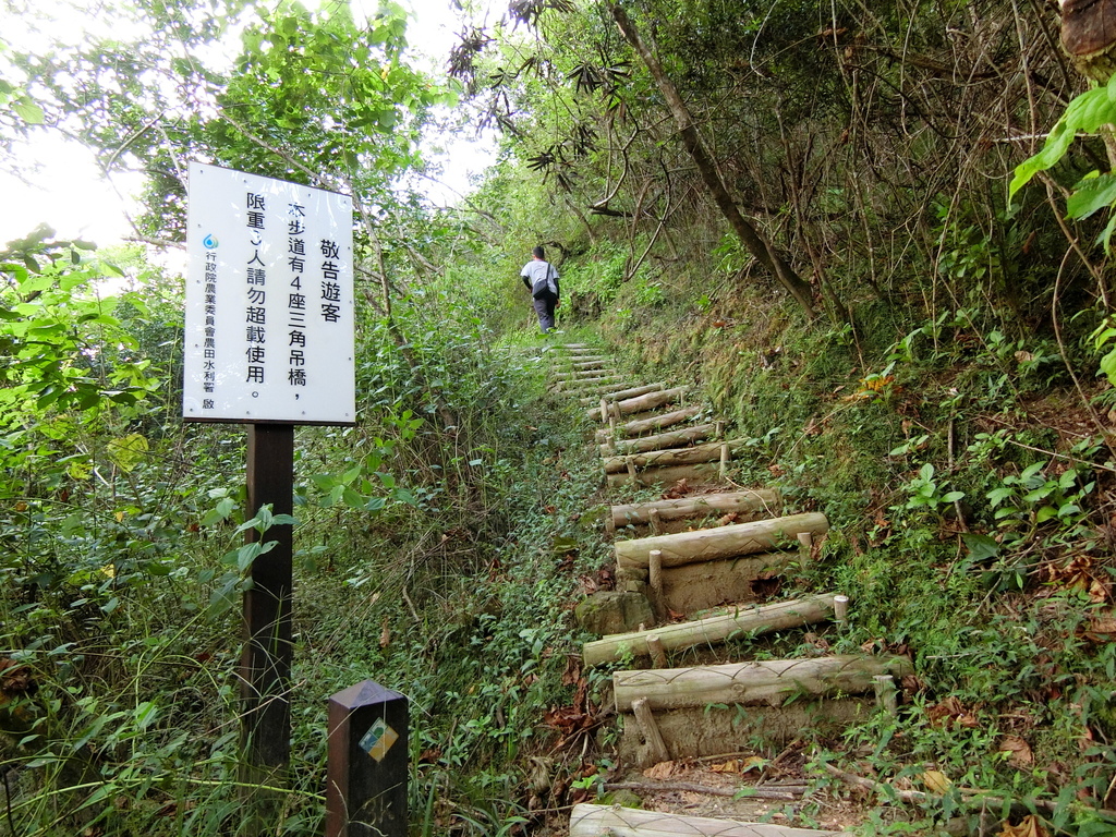 烏山嶺水利古道