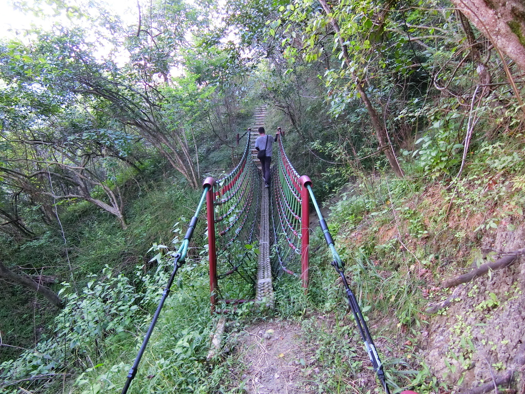 烏山嶺水利古道吊橋１