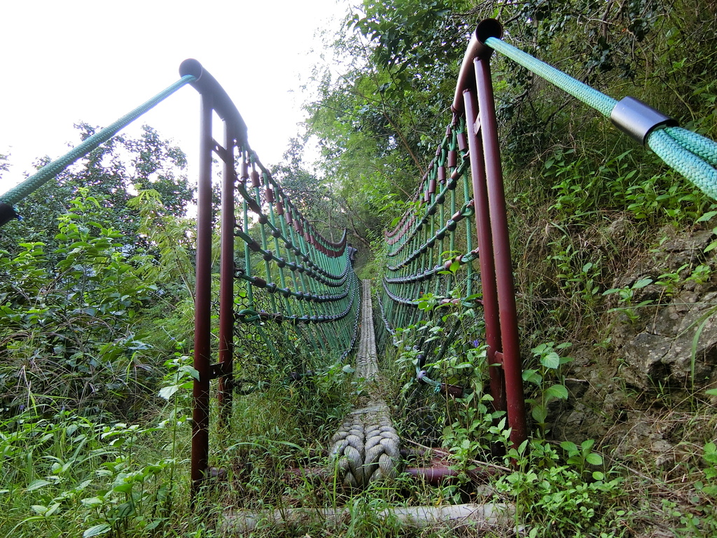 烏山嶺水利古道吊橋２