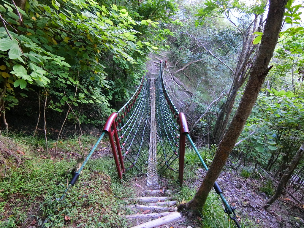 烏山嶺水利古道吊橋４