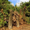 祥合公園 橄欖山營地吊橋遺跡（永康）