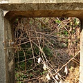 祥合公園 橄欖山營地吊橋遺跡（永康）