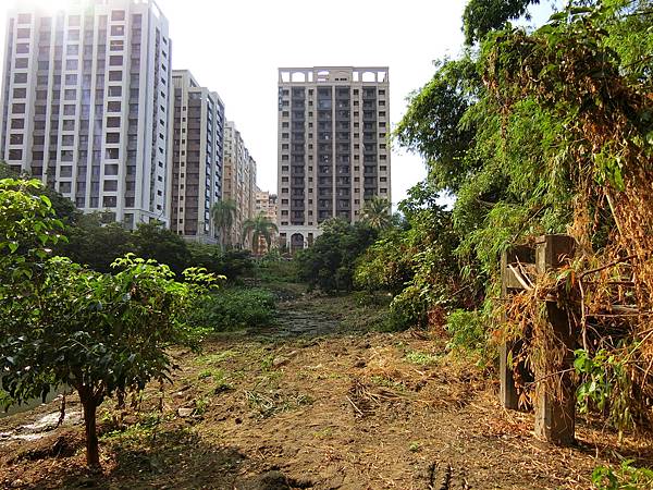 祥合公園 橄欖山營地吊橋遺跡（永康）