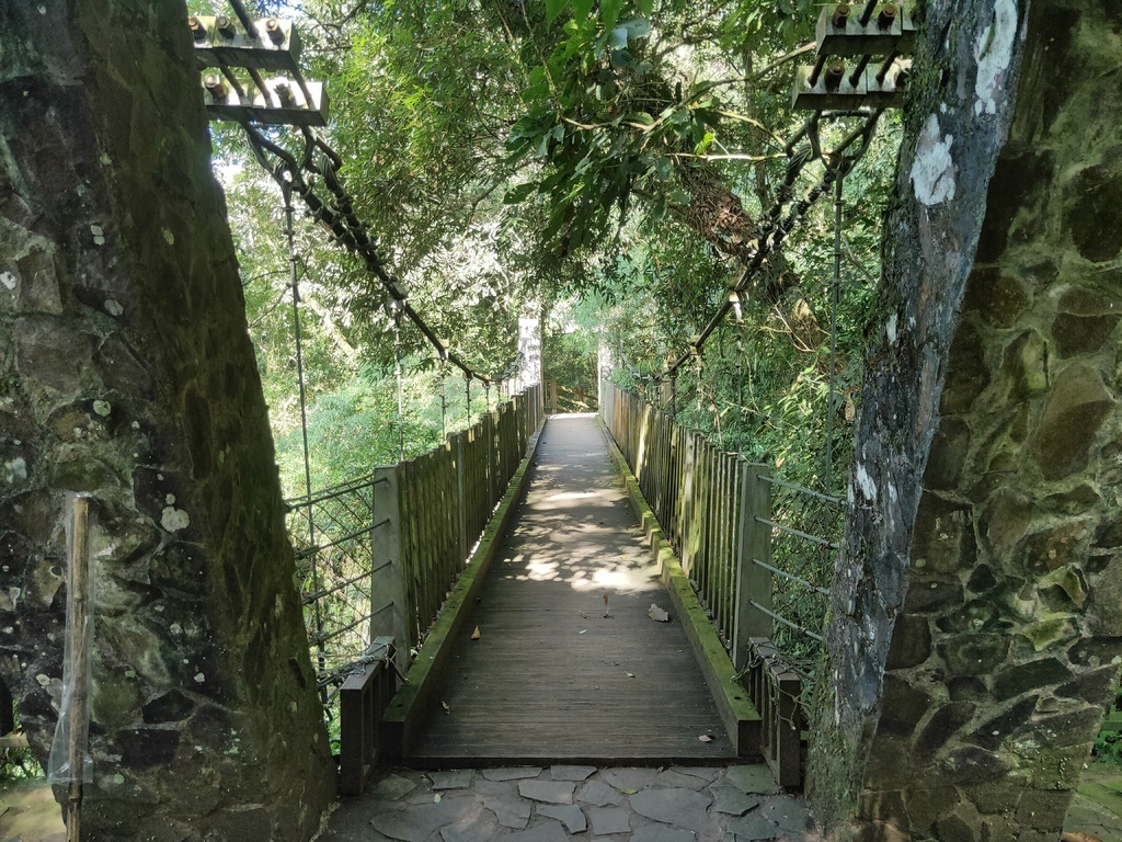 賞鳥步道吊橋１（鹿谷）