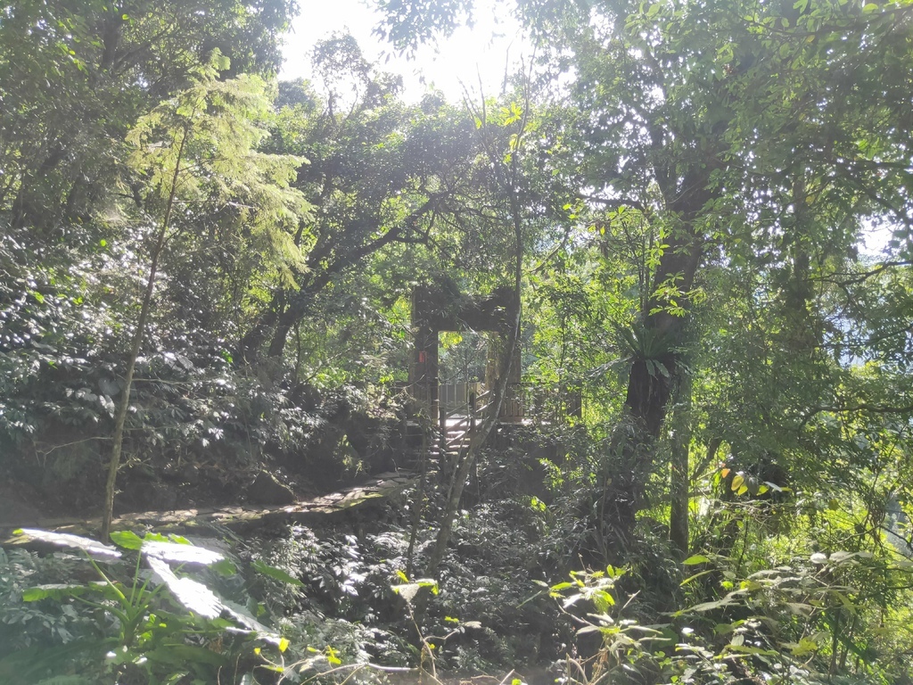 賞鳥步道吊橋１（鹿谷）