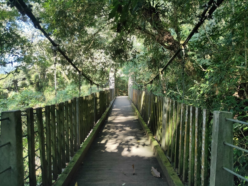 賞鳥步道吊橋１（鹿谷）