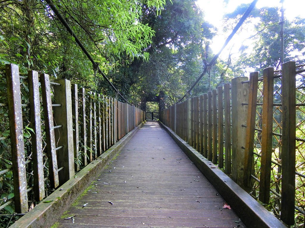 賞鳥步道吊橋１（鹿谷）