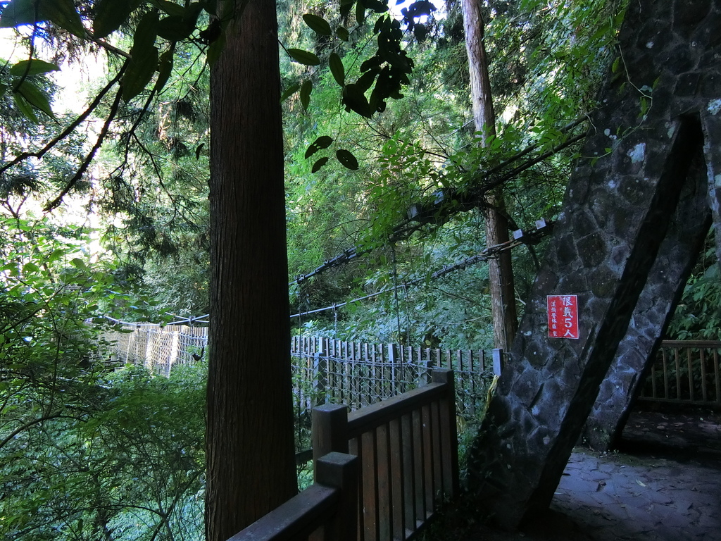 賞鳥步道吊橋２（鹿谷）