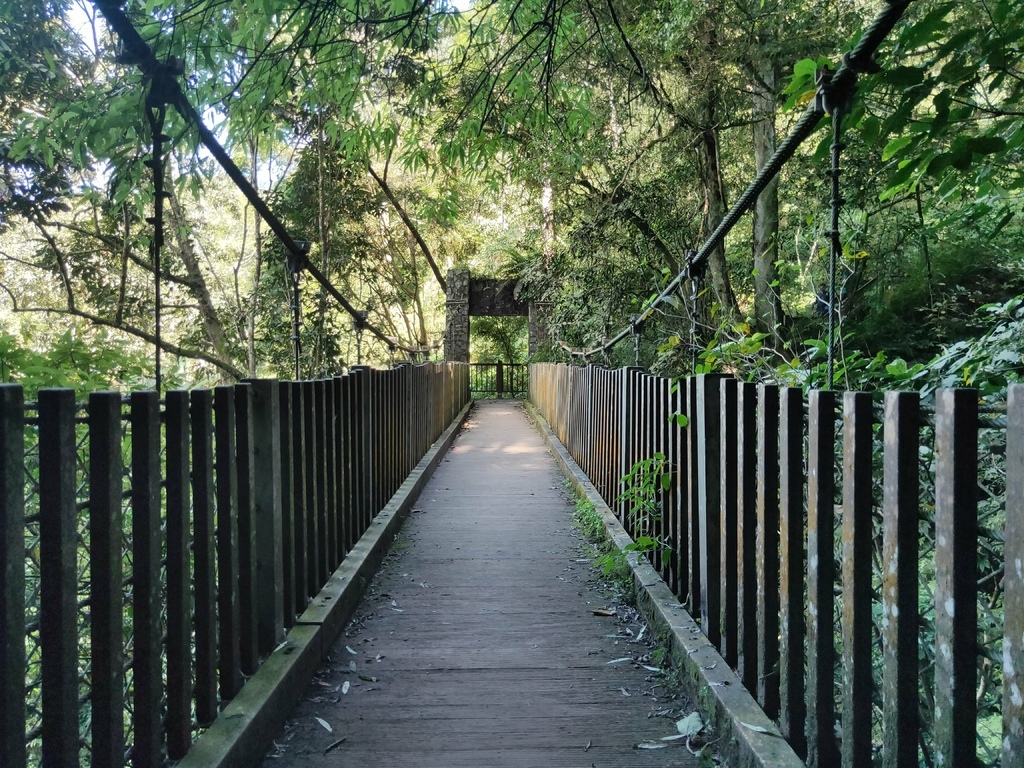 賞鳥步道吊橋２（鹿谷）