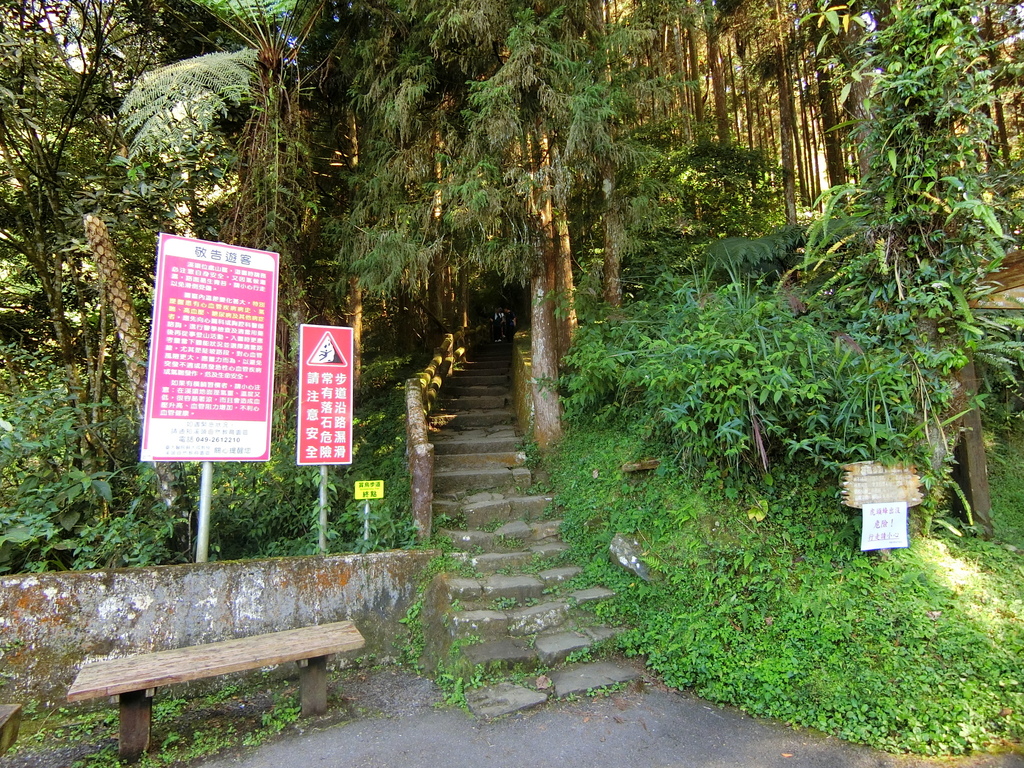 賞鳥步道吊橋終點