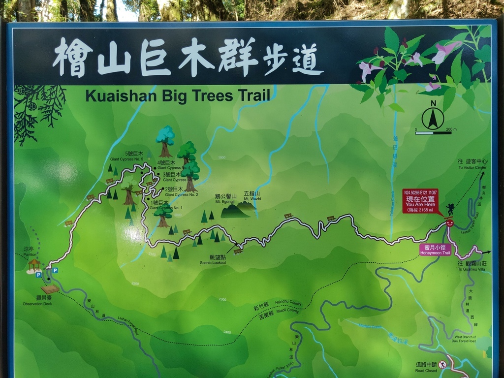 檜山巨木群步道路線圖