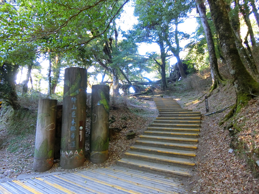 檜山巨木群步道起點