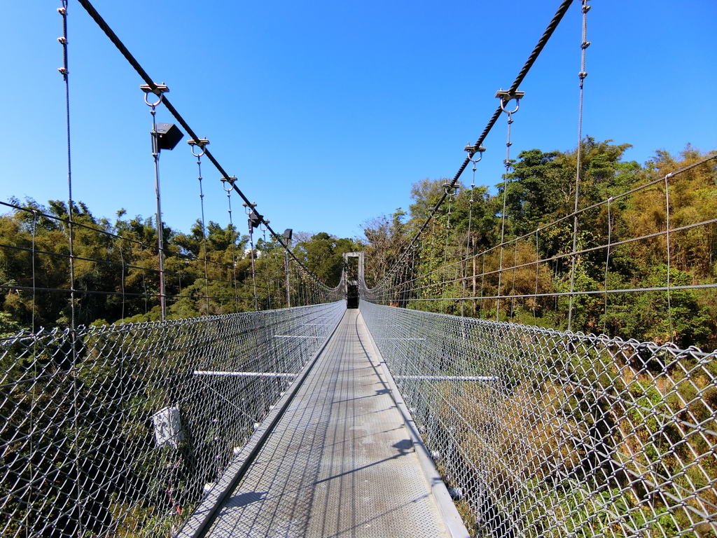 虎形山一號吊橋 望龍吊橋（龍崎）