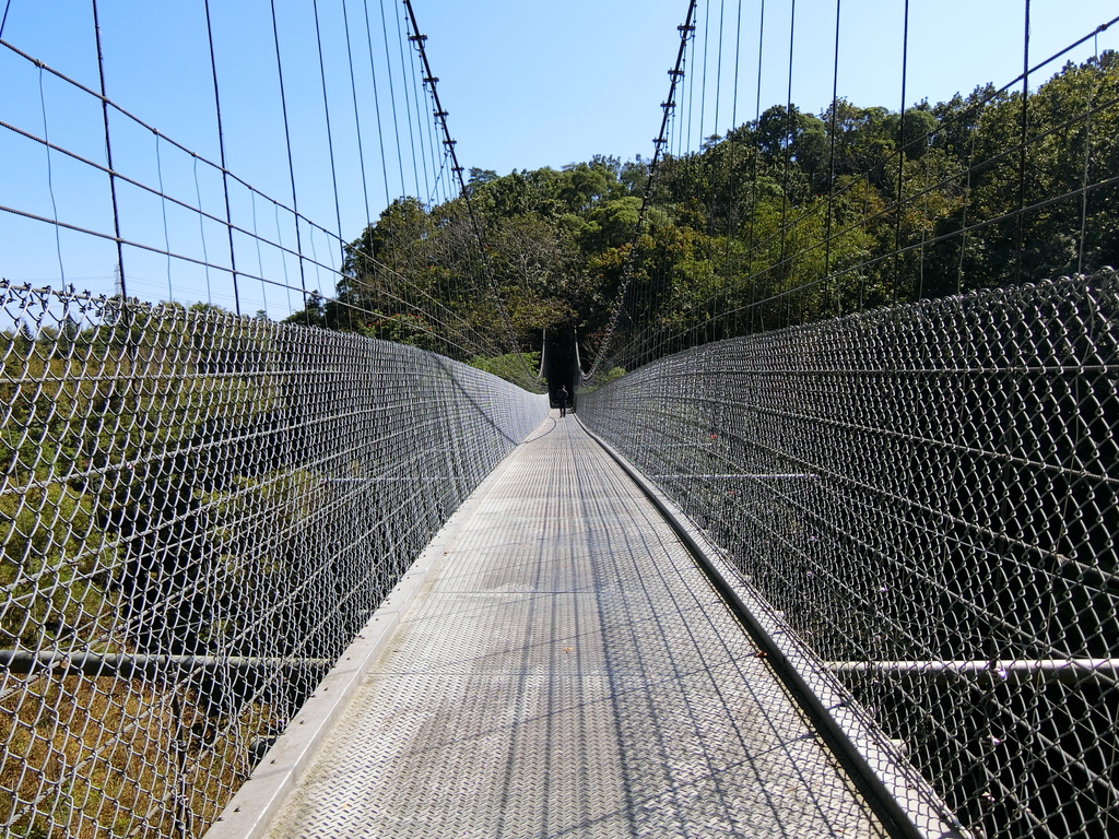 虎形山一號吊橋 望龍吊橋（龍崎）