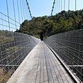 虎形山一號吊橋 望龍吊橋（龍崎）