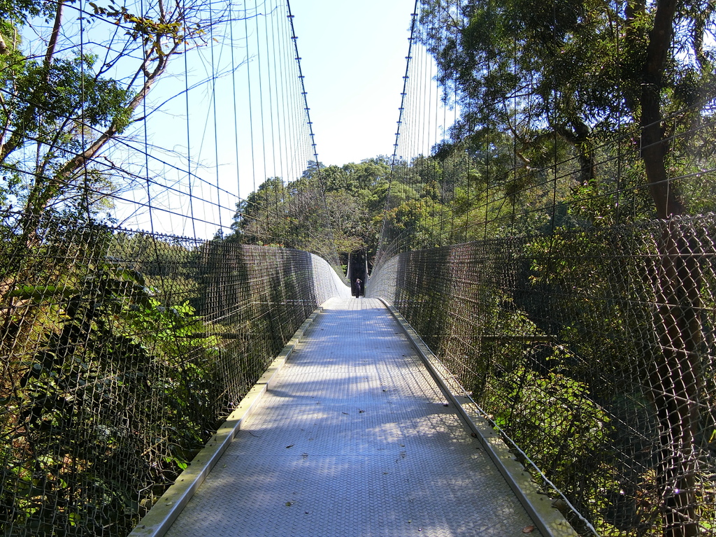 虎形山一號吊橋 望龍吊橋（龍崎）