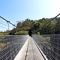 虎形山一號吊橋 望龍吊橋（龍崎）