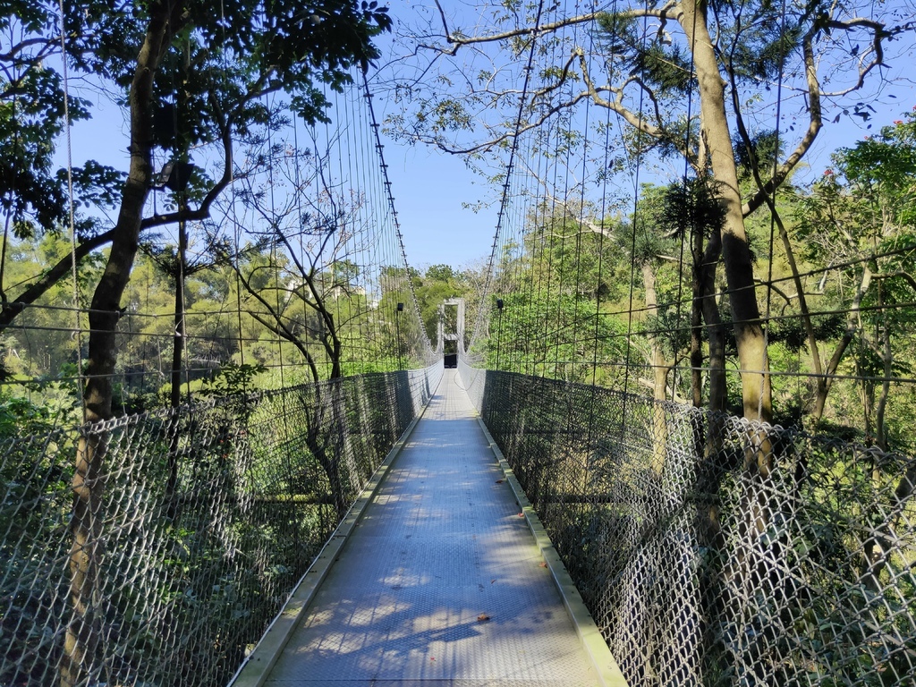 虎形山一號吊橋 望龍吊橋（龍崎）