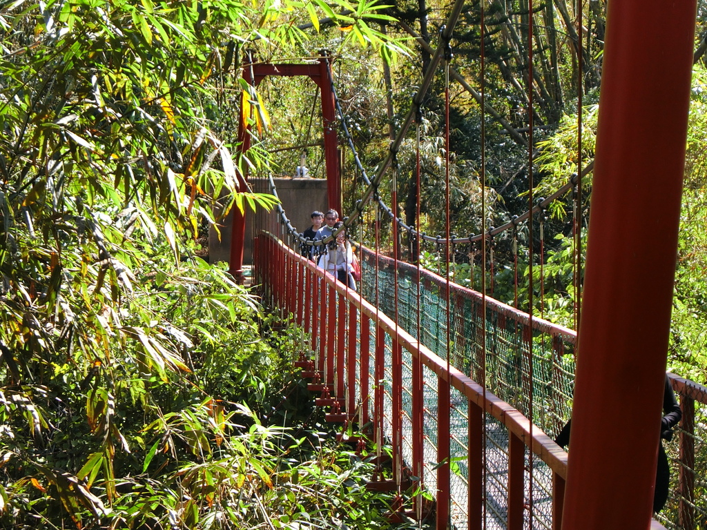 虎形山二號吊橋（龍崎）