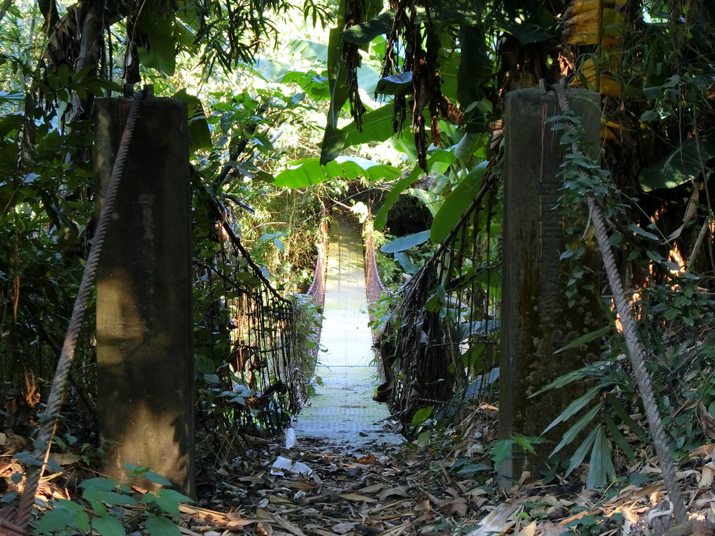 崩山吊橋（龍崎）