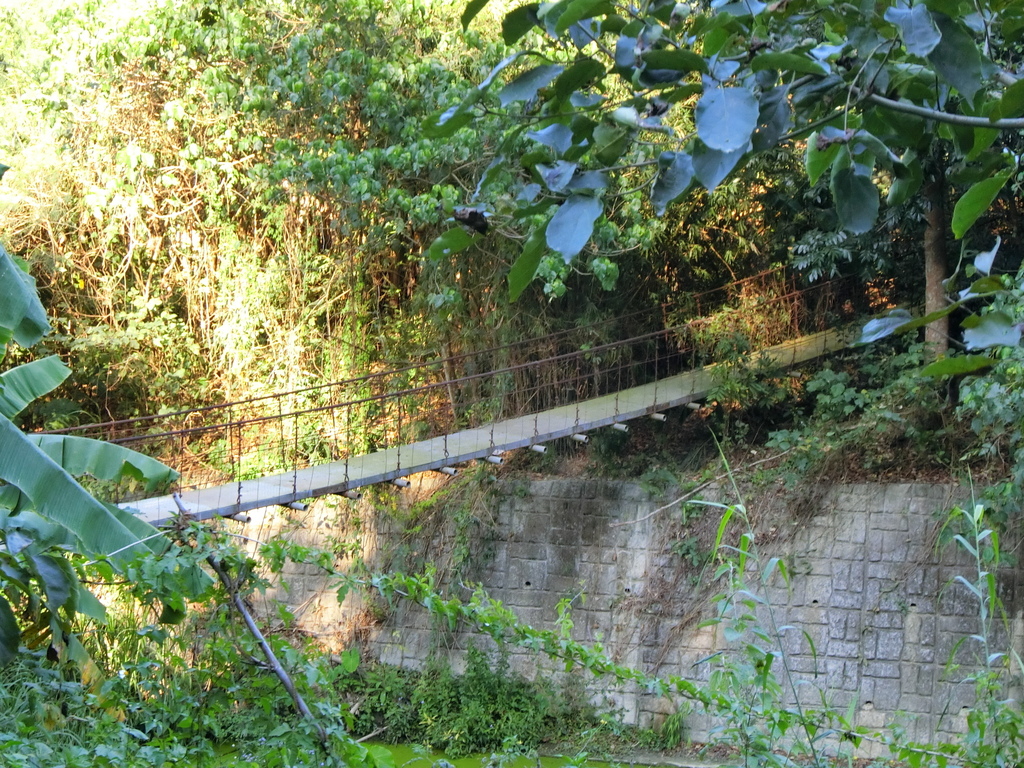 崩山吊橋（龍崎）