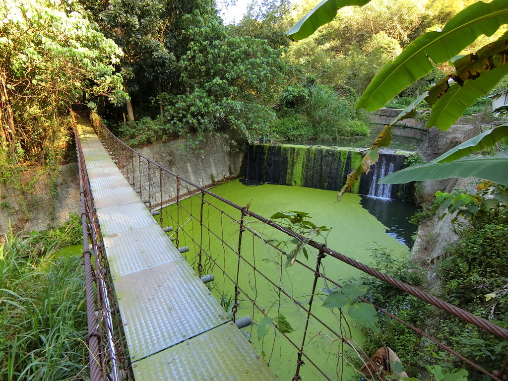 崩山吊橋（龍崎）