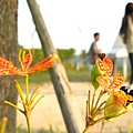 CanonG 107.jpg