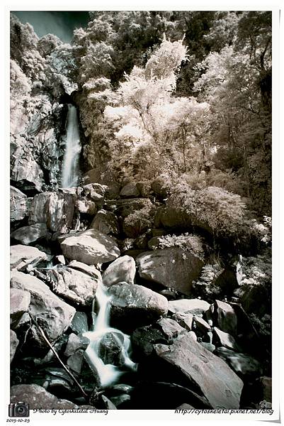 DSC_2859-1-1.jpg DSC_2859-1-1.jpg