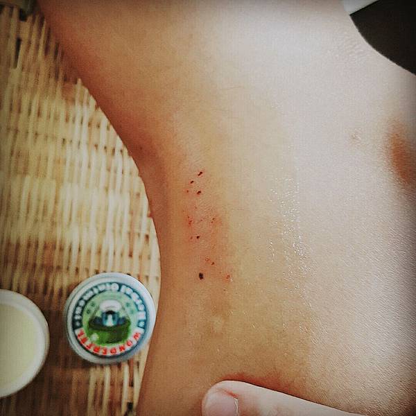 20160827_556.jpg 試用