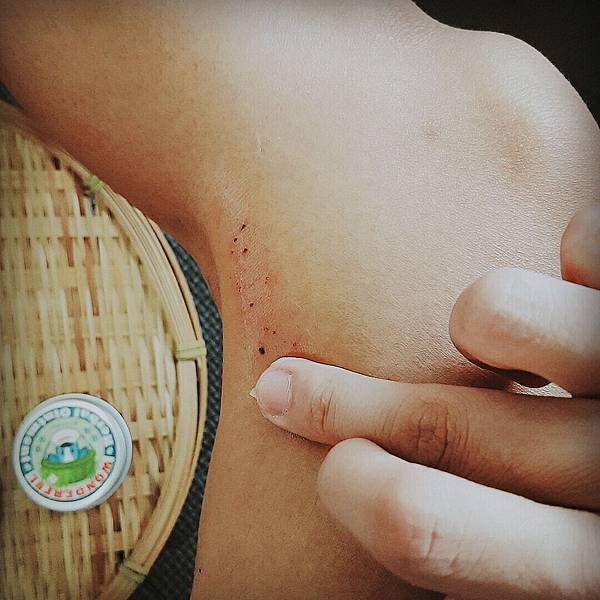 20160827_6158.jpg 試用