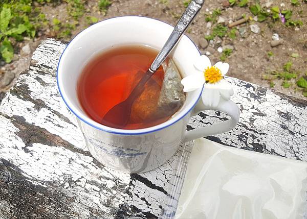 20180301_180323_0021.jpg 試用