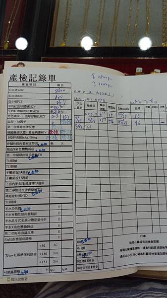IMAG0112 IMAG0112