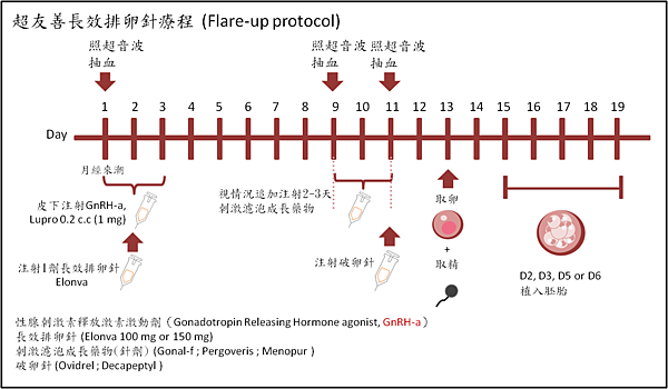 超友善長效排卵針療程.png