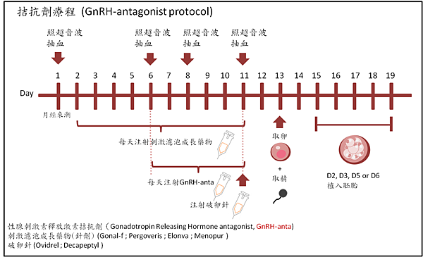 拮抗劑療程.png