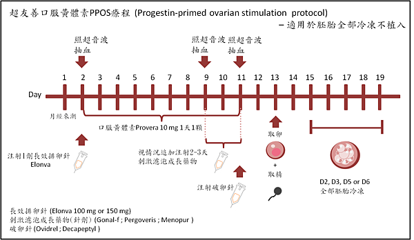 超友善口服黃體素PPOS療程.png