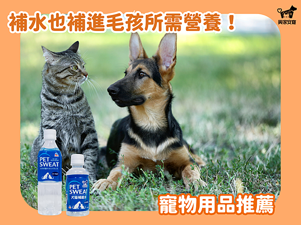 ｜寵物用品推薦｜興家安寵日本進口犬貓專用補給水！補水也補進毛