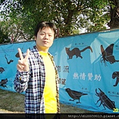 岡山~紙風車台灣動物昆蟲創意展 岡山~紙風車台灣動物昆蟲創意展