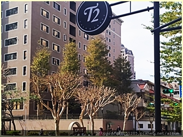 T2 Café桃園早午餐推薦寵物友善3.jpg