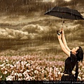 99489-1024x768-rain136411