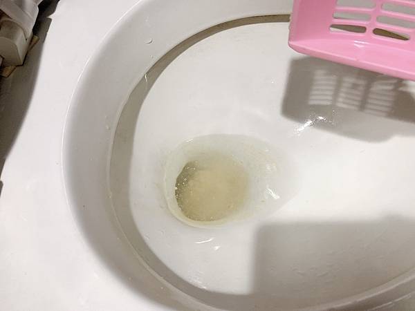 IMG_5765 試用