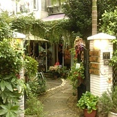 12227542_1230773836948998_215357362_o - 複製.jpg