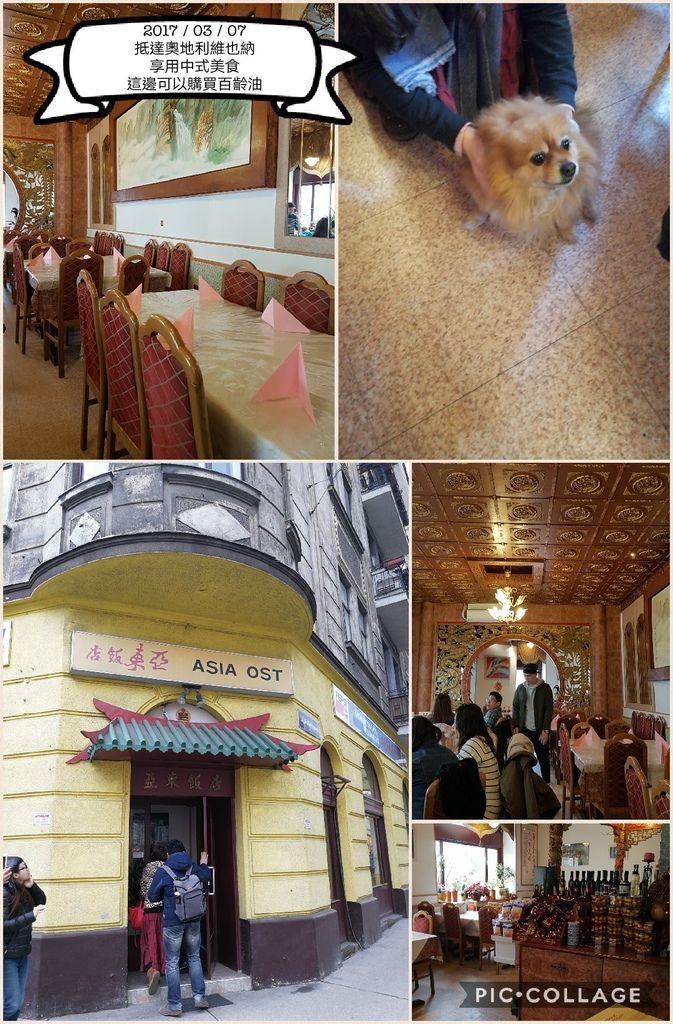 Collage 2017-03-28 16_56_41.jpg