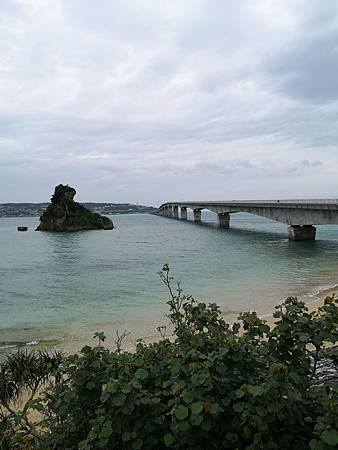 IMG_20190309_101527.jpg IMG_20190309_101527.jpg