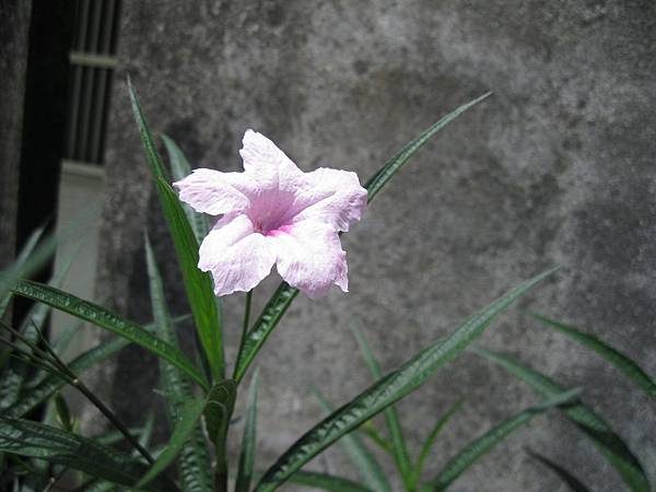 照片 1716.jpg 照片 1716.jpg