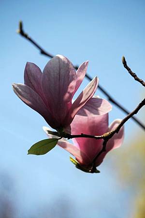 IMG_1975 IMG_1975
