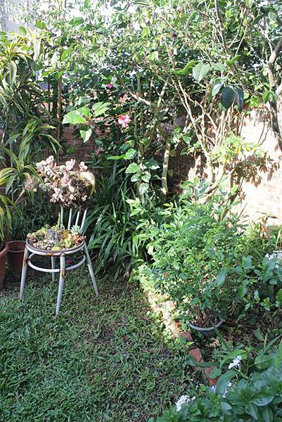 IMG_8146_副本.jpg IMG_8146_副本.jpg
