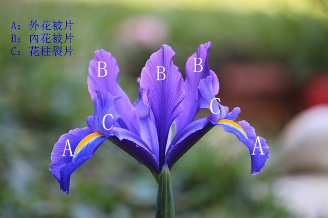 IMG_2954_副本.jpg IMG_2954_副本.jpg