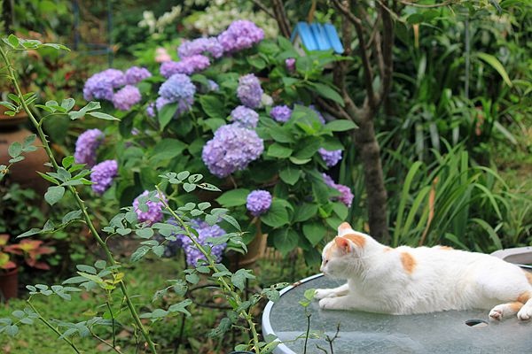 IMG_8608_副本.jpg IMG_8608_副本.jpg