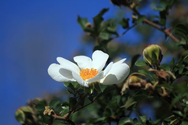 IMG_8723_副本.jpg IMG_8723_副本.jpg